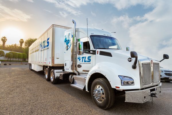 TLS-TRUCK-01 (1)